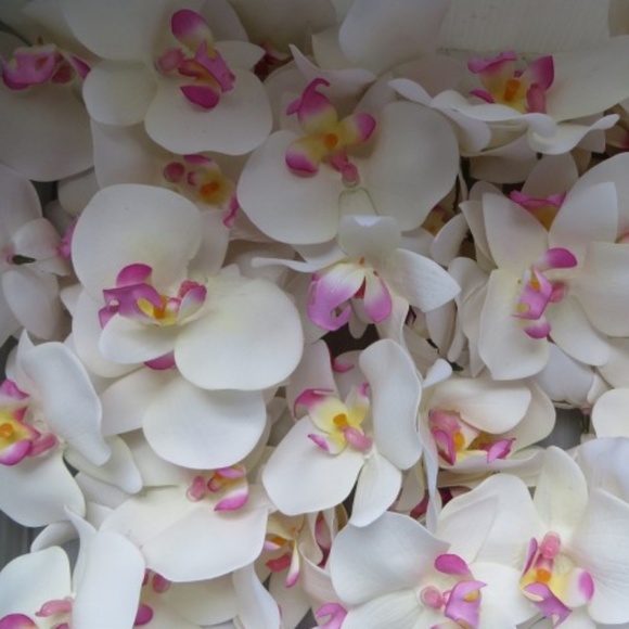 Meet your Posher, Victorian Girl - Picture 1 of 2